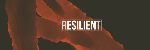 20200711_032325953_iOS